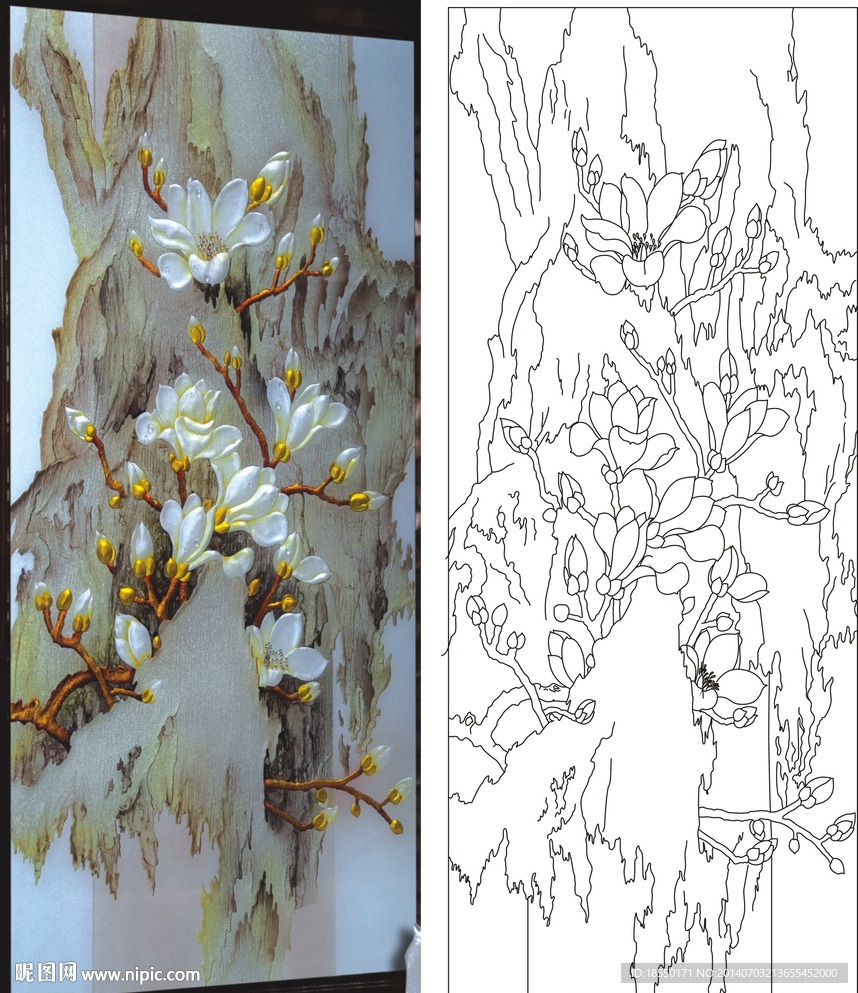 玉兰花