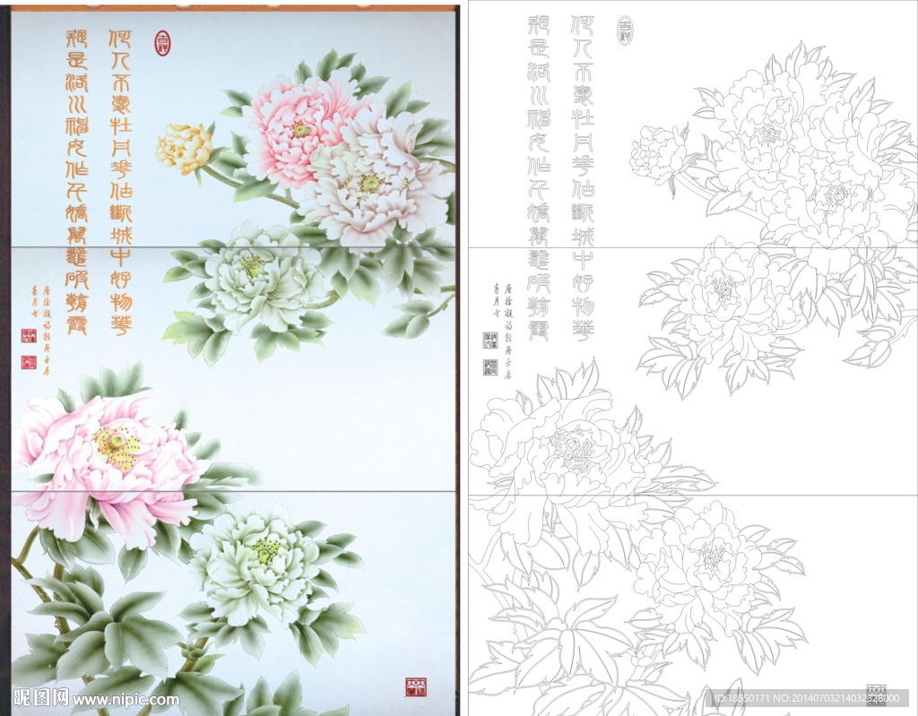 牡丹