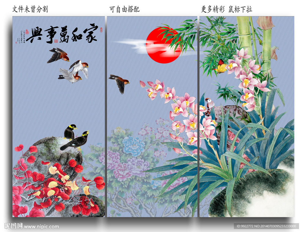 兰花