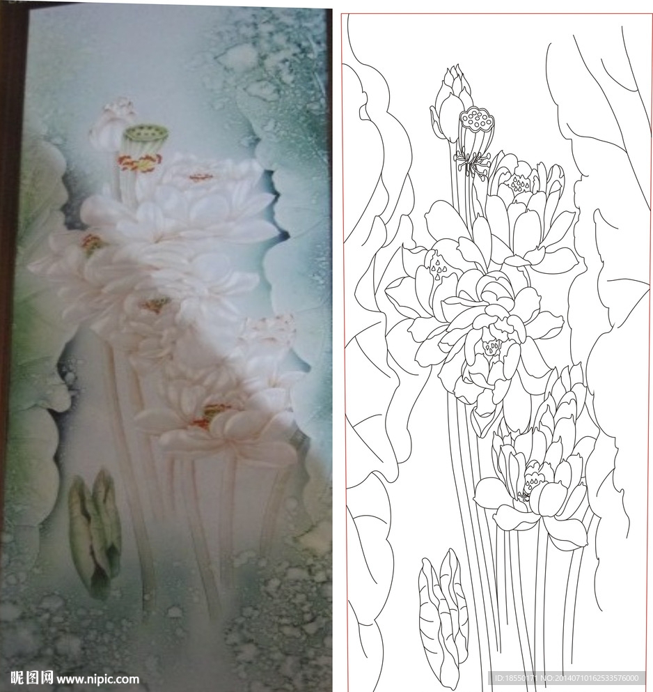 荷花