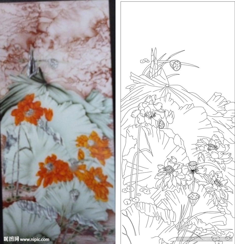 荷花