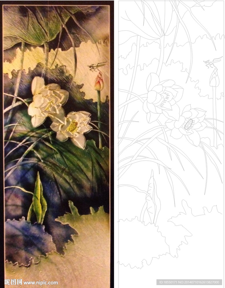 荷花