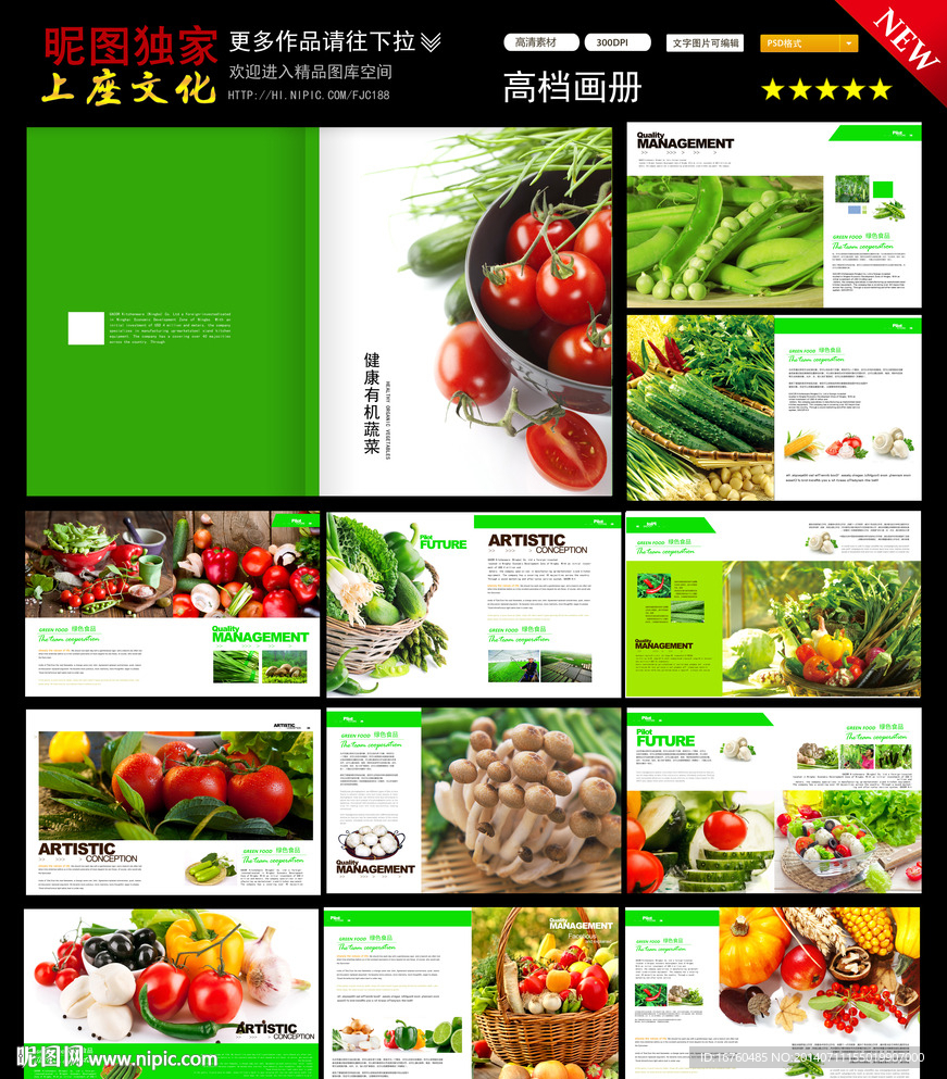蔬菜画册