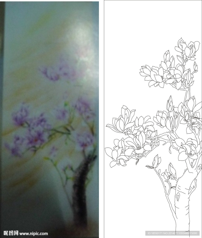 玉兰树