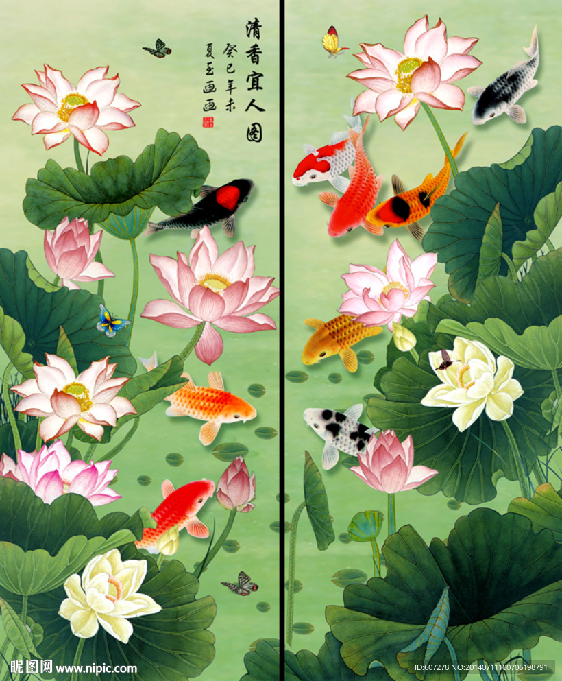 荷花