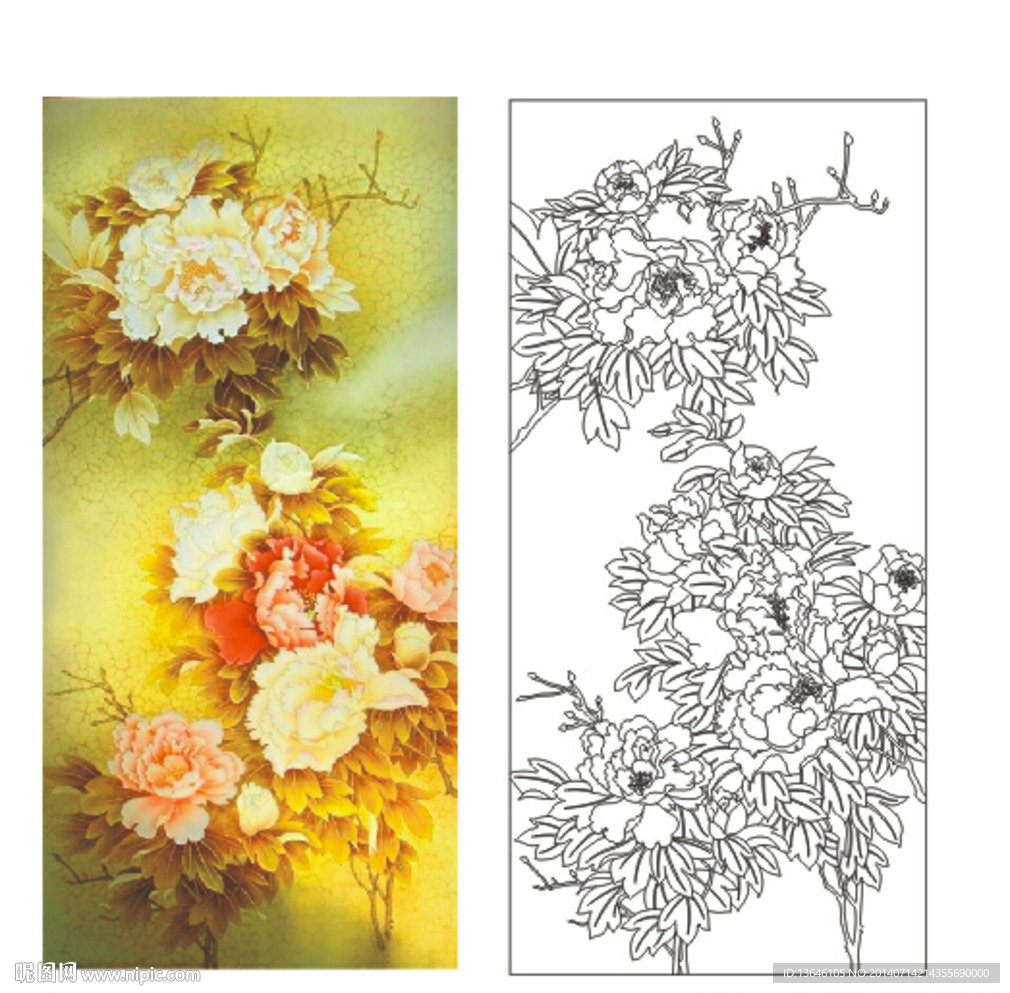 牡丹花