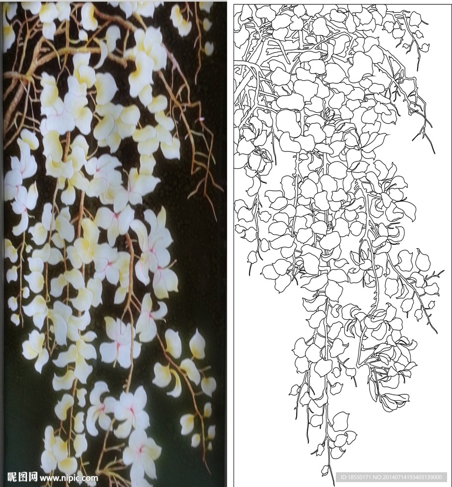 白花