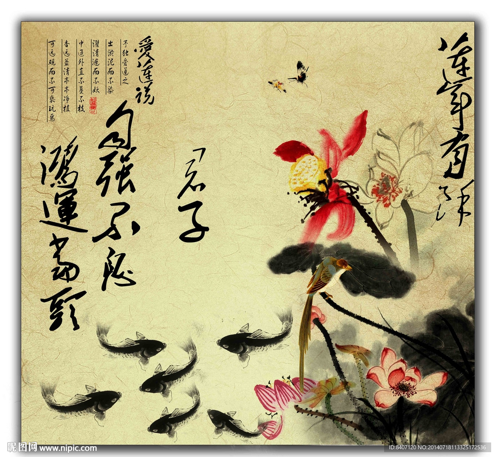 荷花图