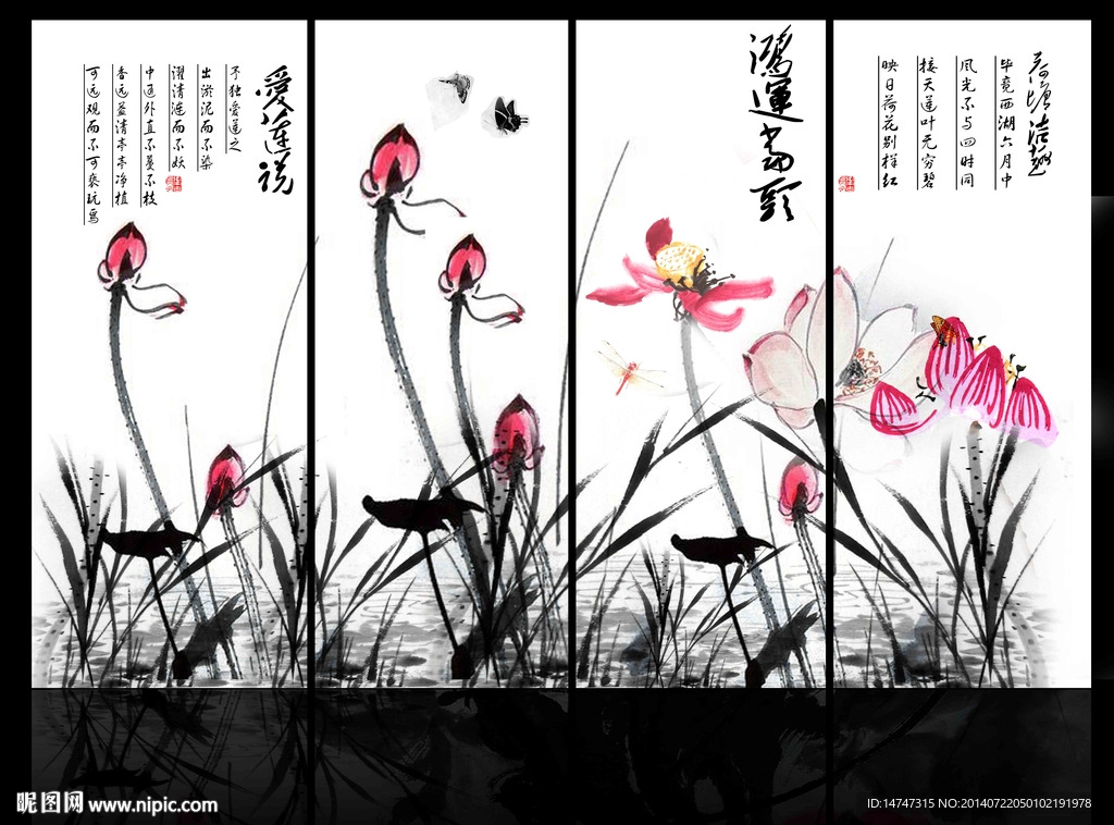 荷花