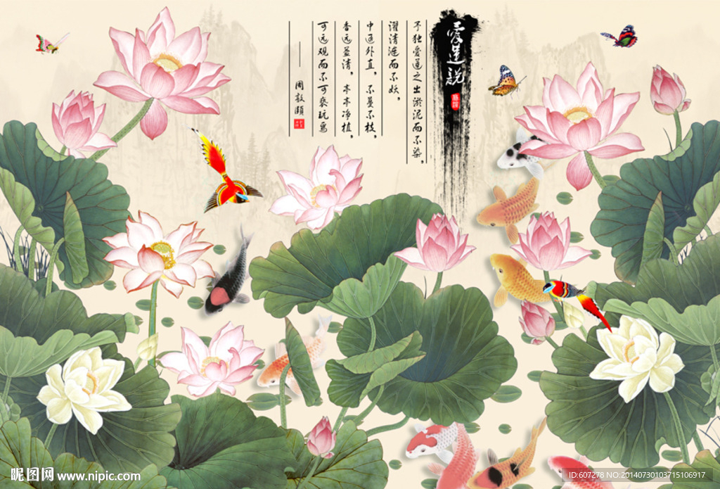 荷花