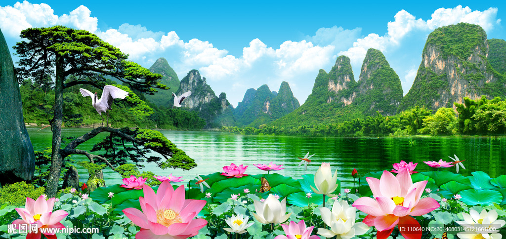 荷花