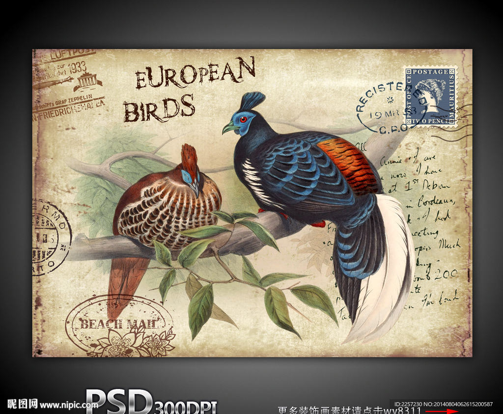 复古鸟类装饰画