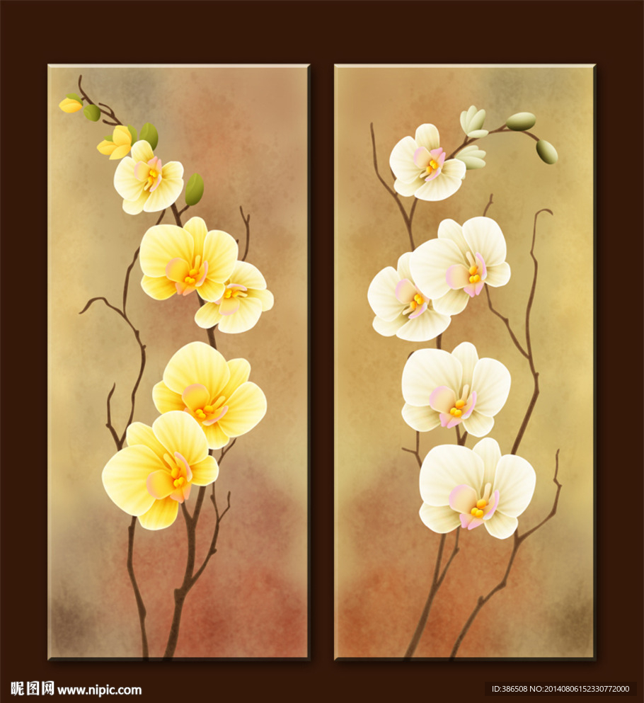 无框画蝴蝶兰花