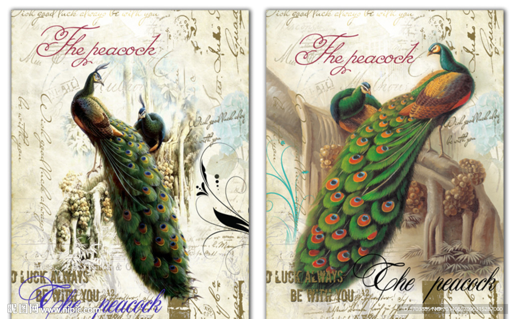 孔雀 装饰画