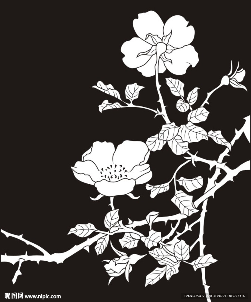 花草 芙蓉 牡丹