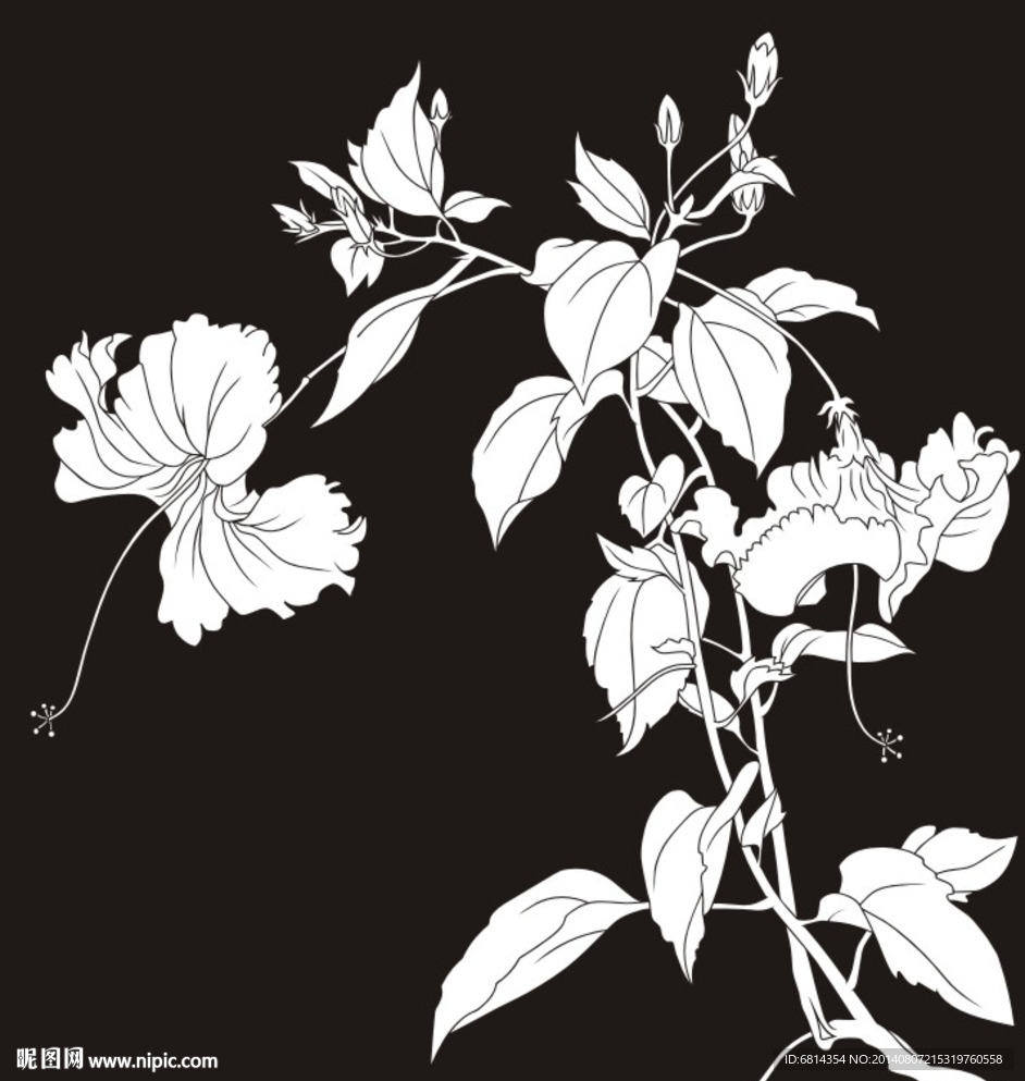 花草 花鸟 玉兰 蝴蝶