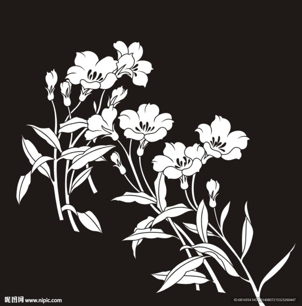 花草 花鸟 小花