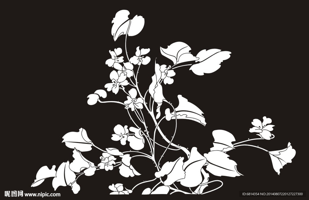 花草 小花 花鸟 兰花 