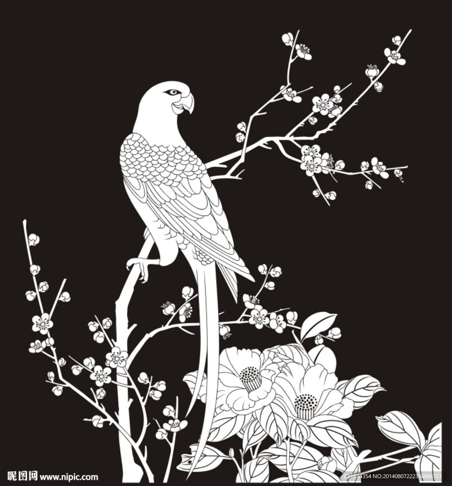 花鸟 鹦鹉 梅花