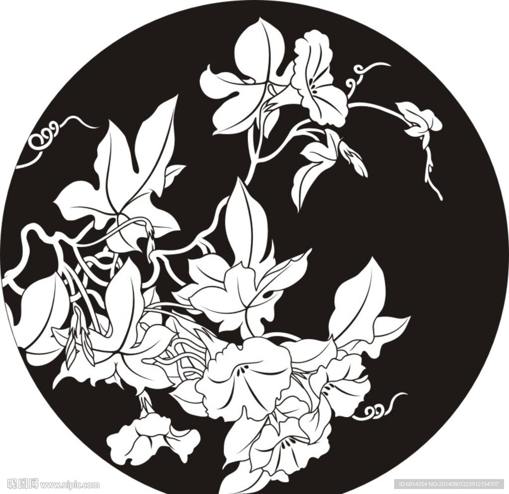 牵牛花 喇叭花 缠绵 