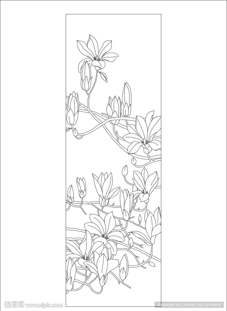 牵牛花