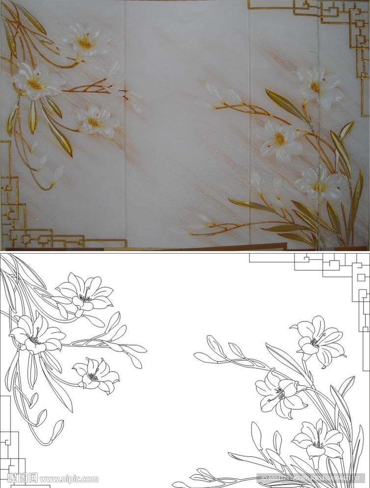 玉兰花