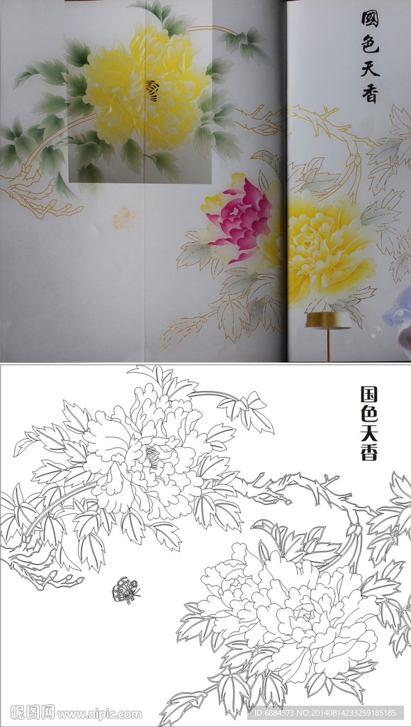 牡丹花
