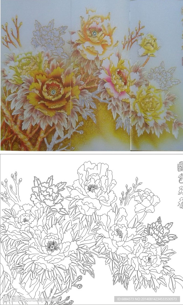 牡丹花