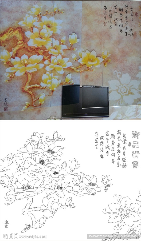 玉兰花