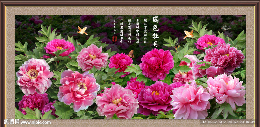 牡丹花
