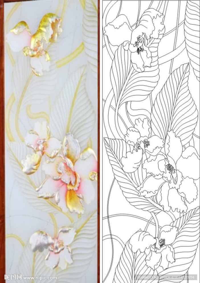 郁金香