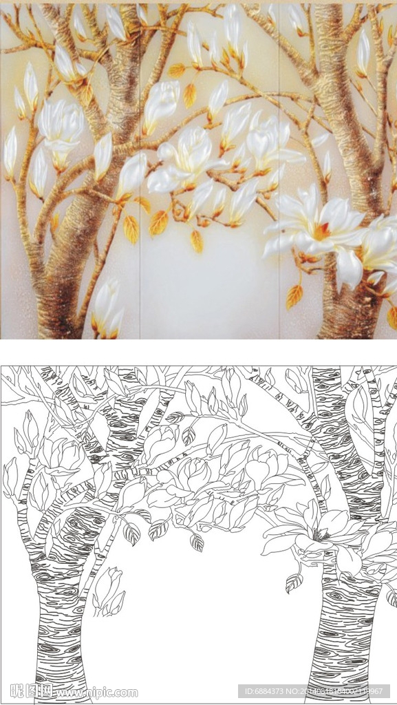 玉兰花 树
