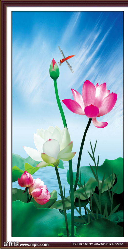 荷花