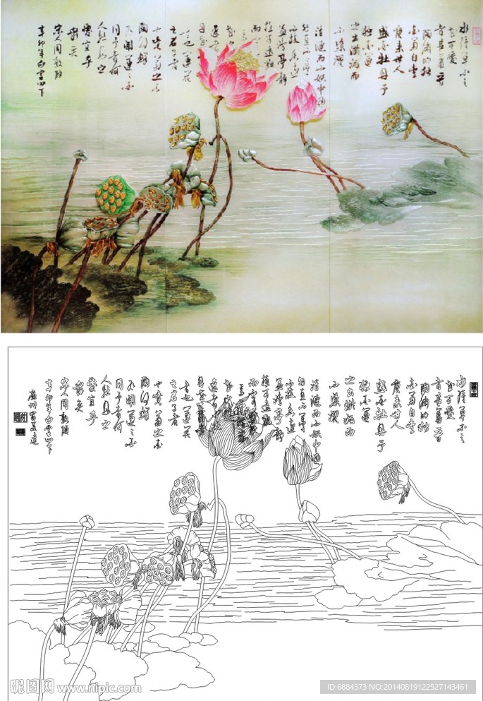 莲 荷花