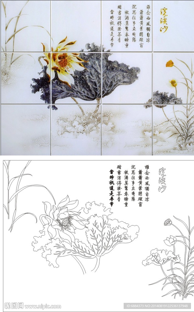 荷花