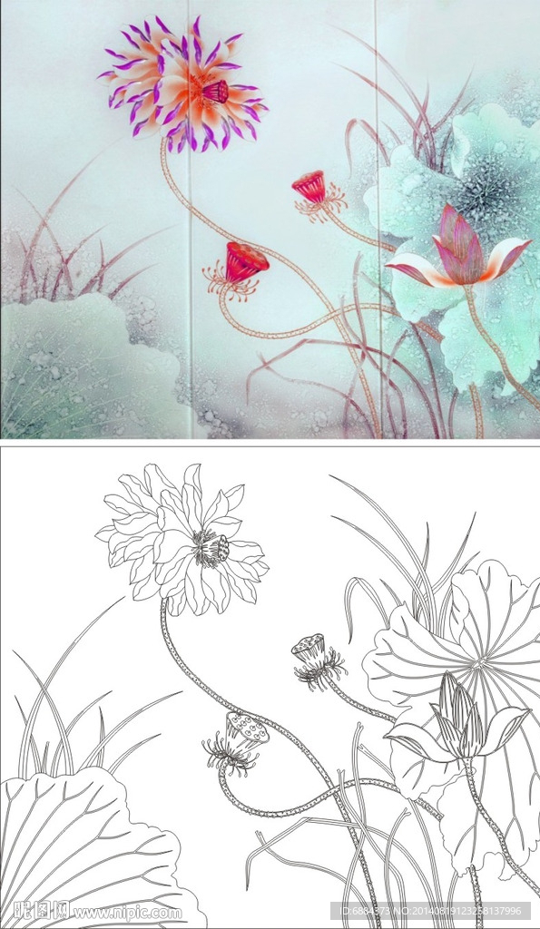 荷花