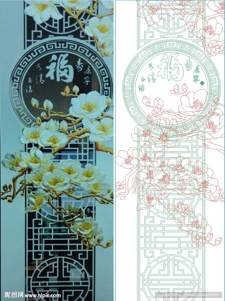 玉兰花 福