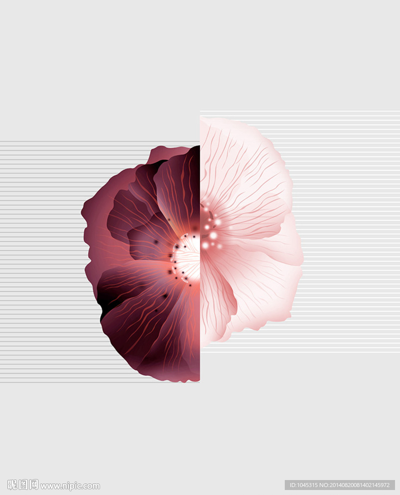 移门 阴阳花