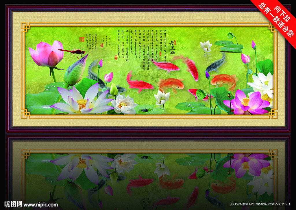 荷花