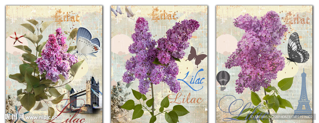 欧美风格 花卉装饰画