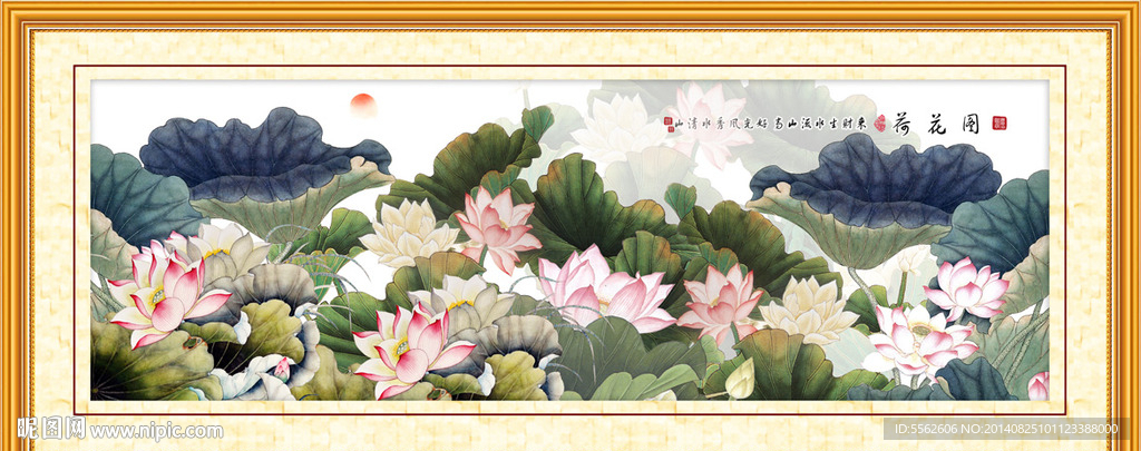 荷花