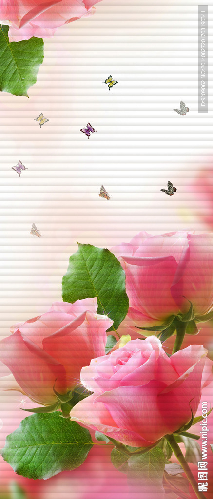 玫瑰花 蝴蝶