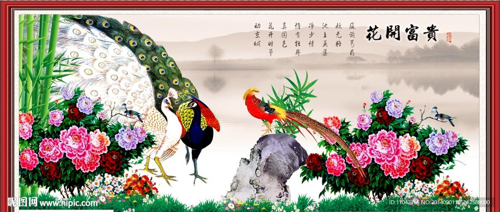 牡丹花 花开富贵