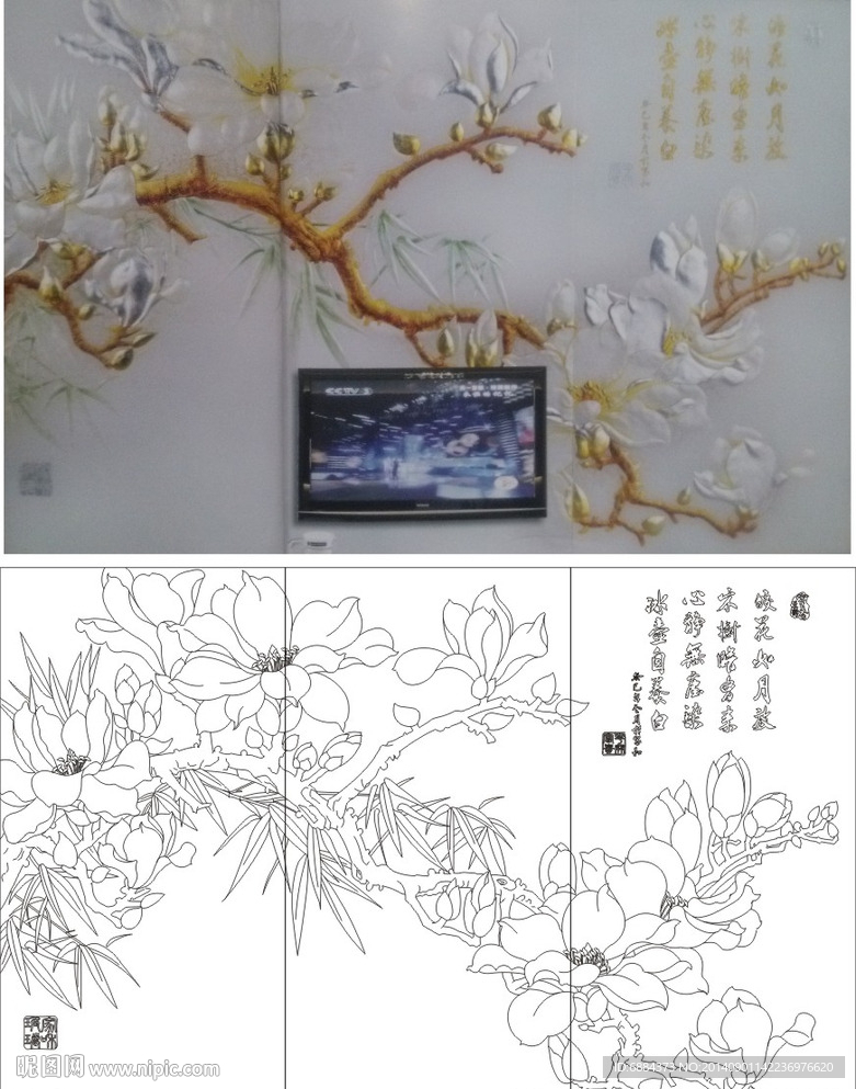 玉兰花