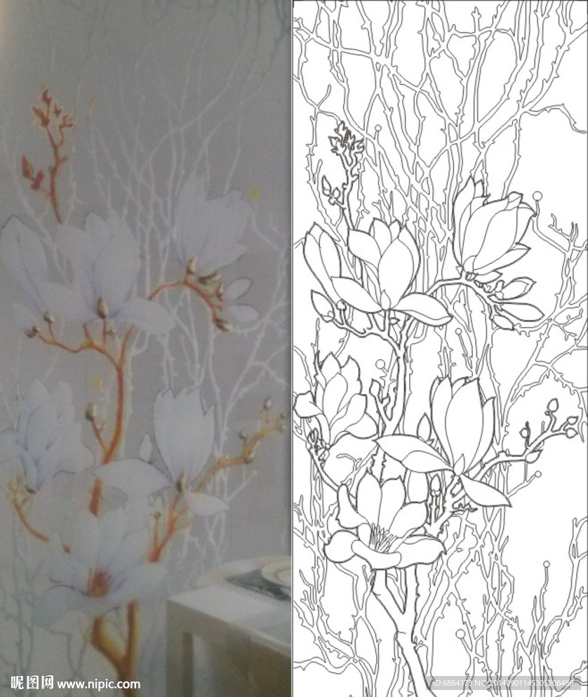 玉兰花