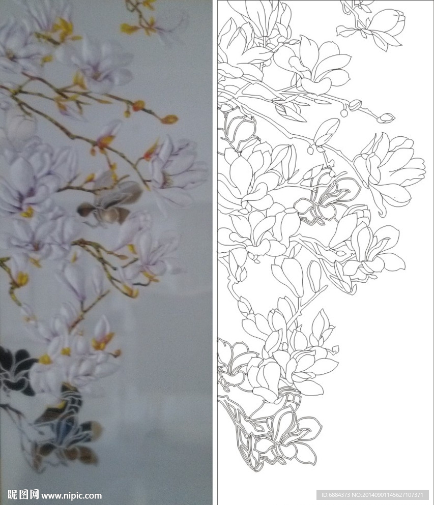 玉兰花