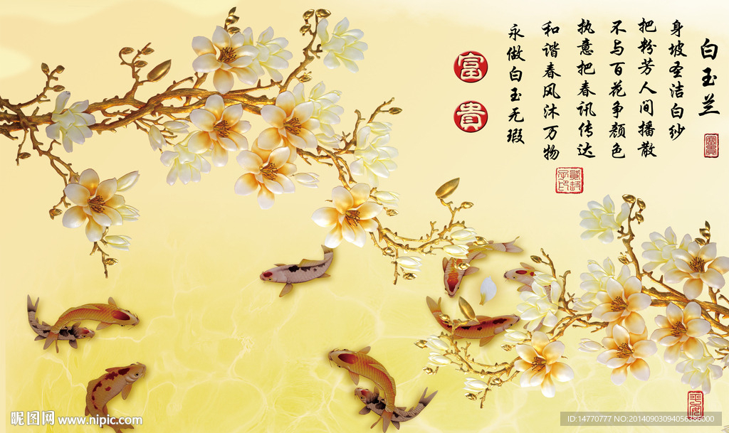 玉兰花