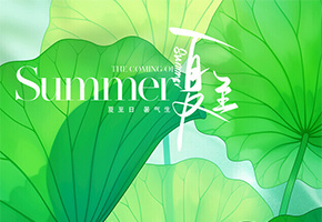 夏至图片
