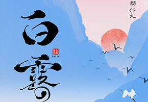 白露图片