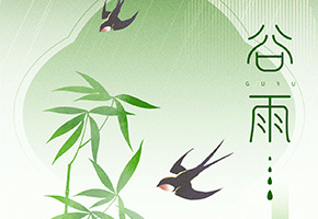 谷雨图片
